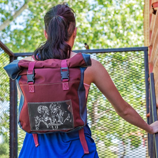 ToteBackpack.jpg