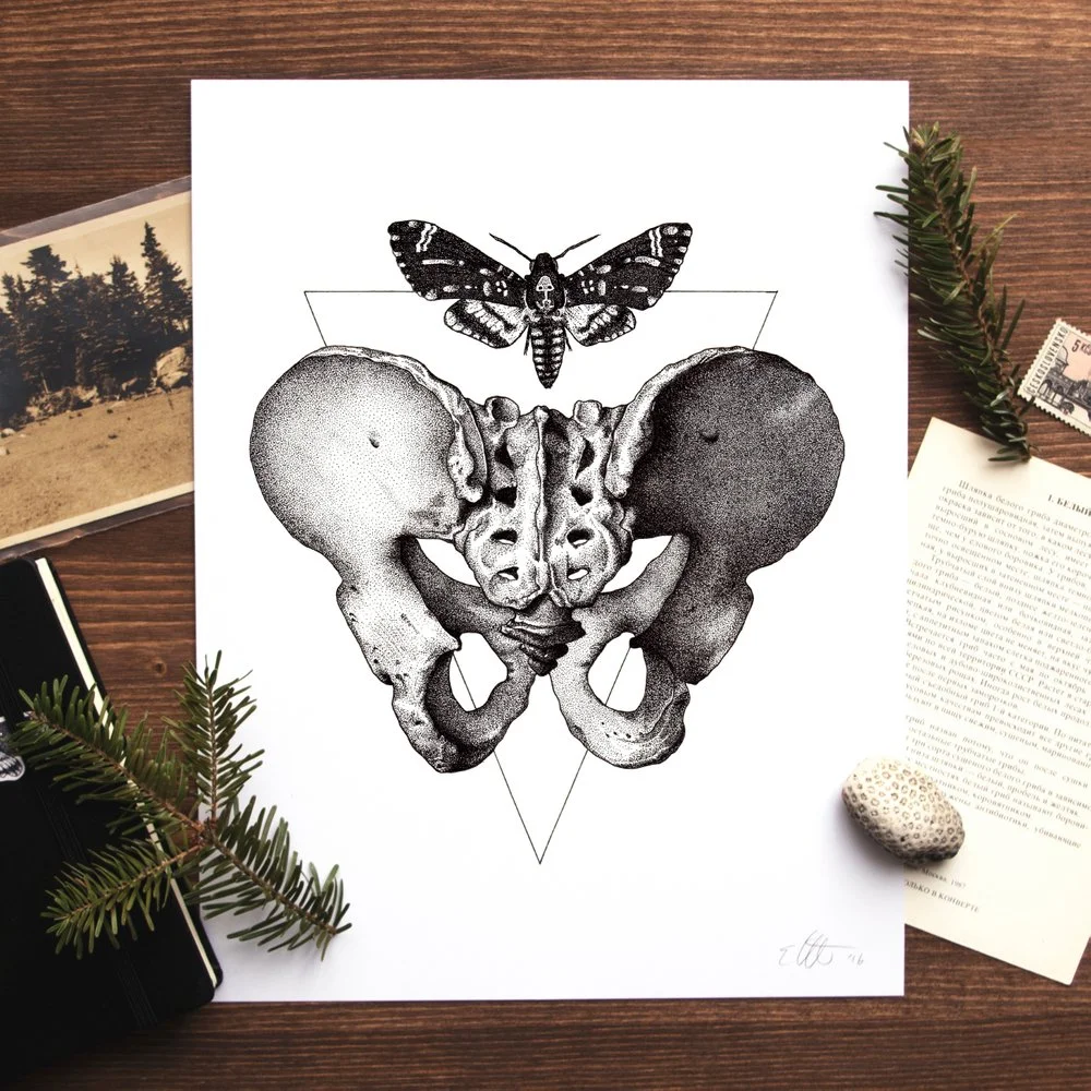 Pelvis_Moth_Print.jpg