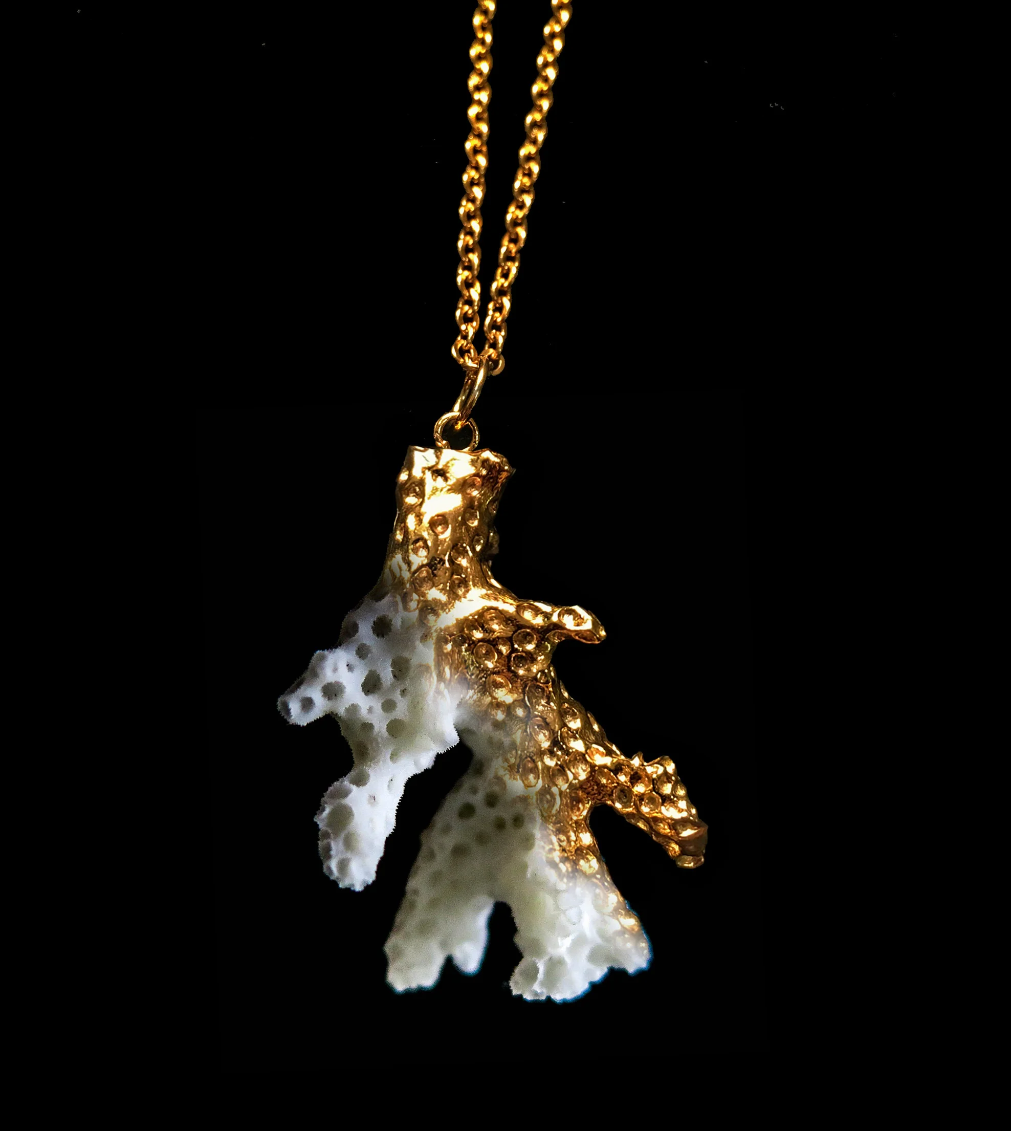 Gold Dipped Porcelain Pre-Order