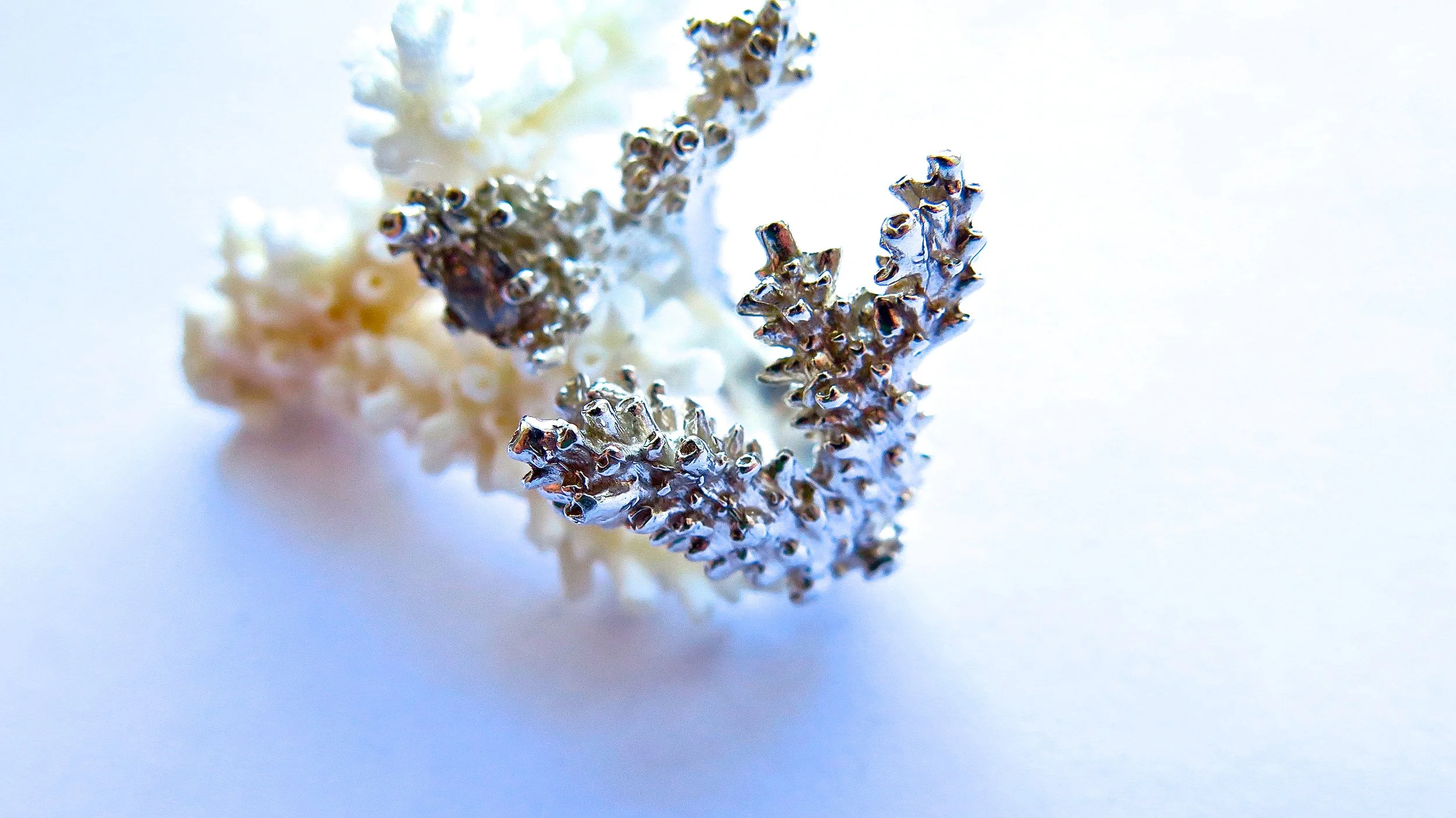 White Diamonds and Silver