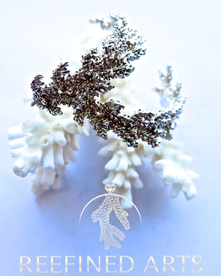 Elkhorn Stud Earrings