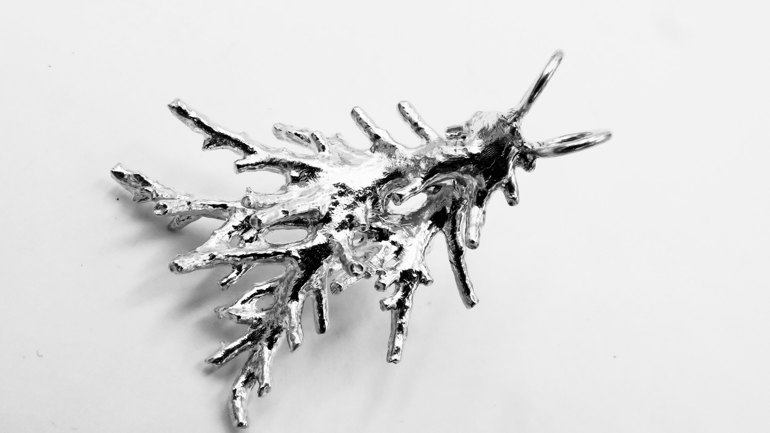 64461E05-A396-4B4D-A76F-435C5E27D471.jpeg