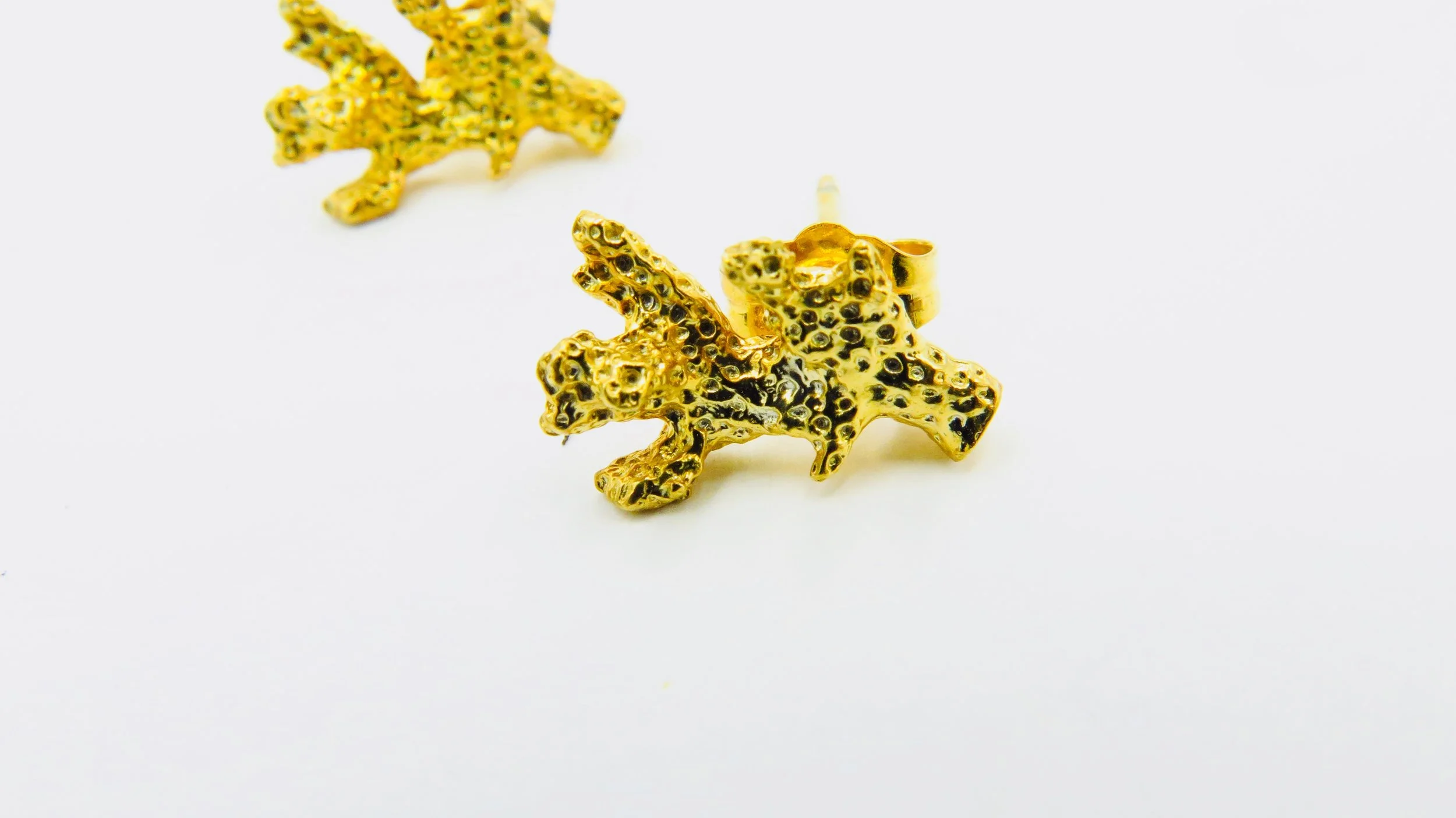 Mini Stylophora Studs