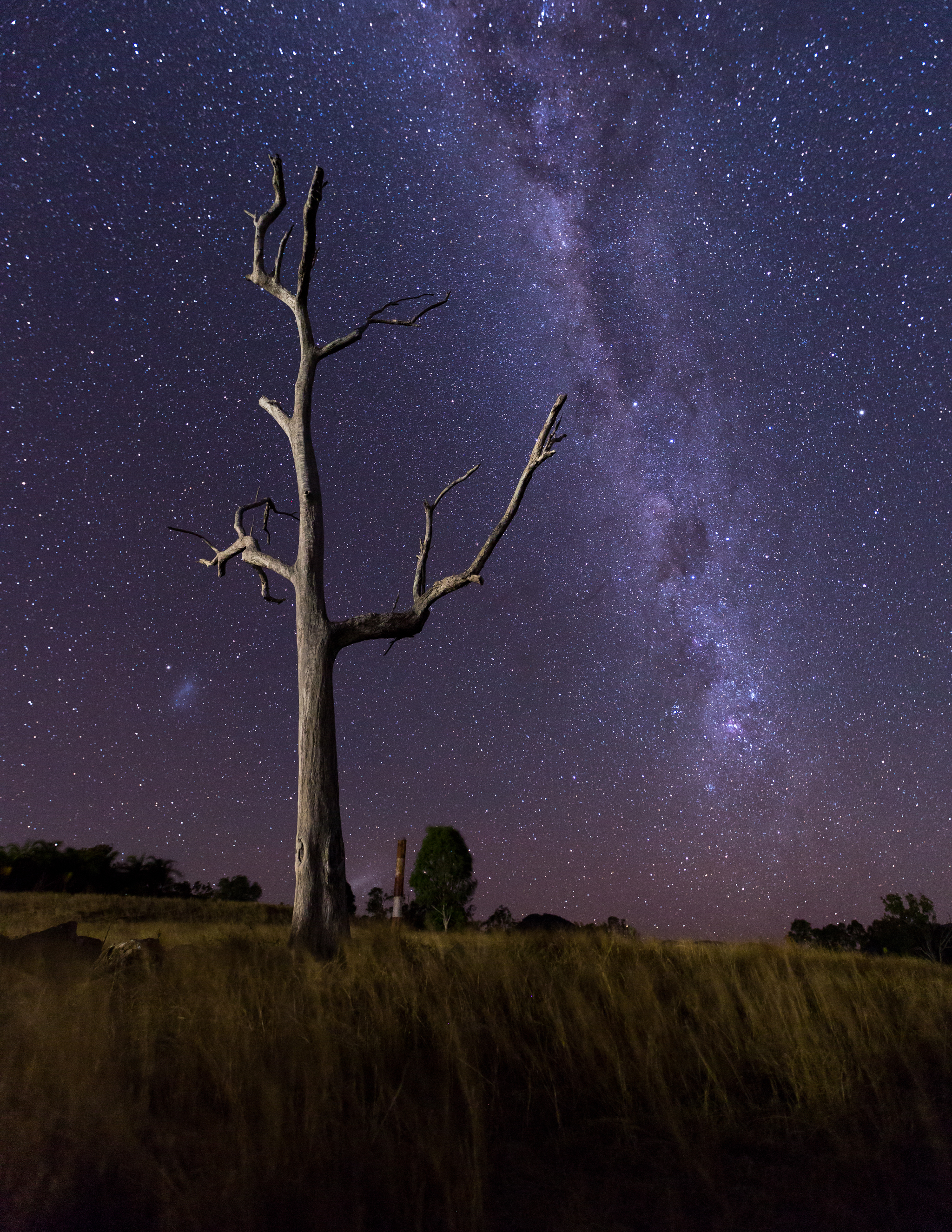 CT5D5850-Edit.jpg
