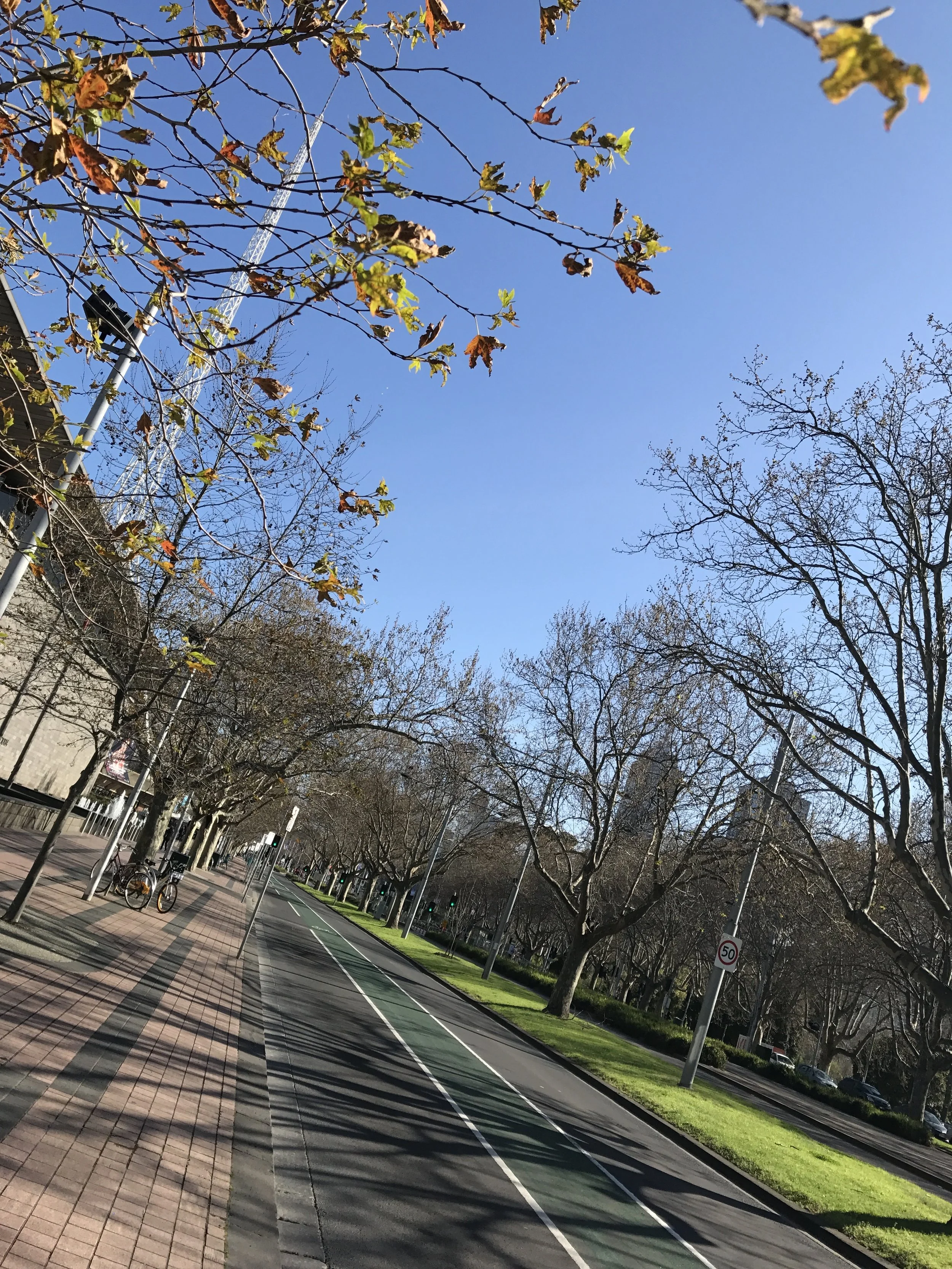 Melbourne Art Centre Market