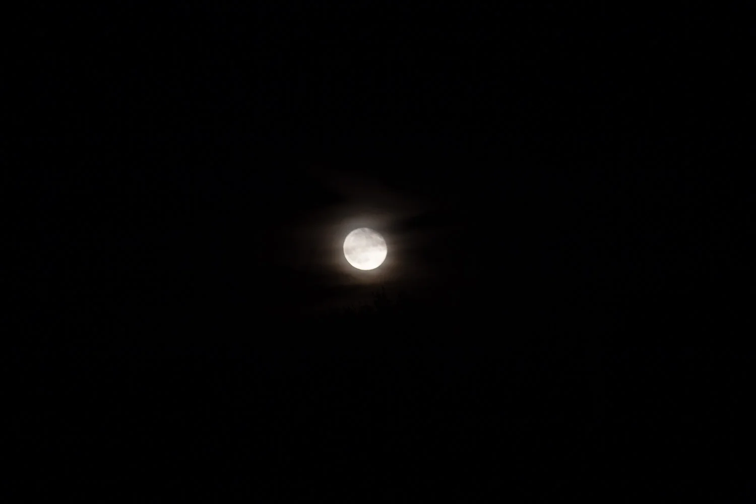 20171006-untitled-201710065580.jpg