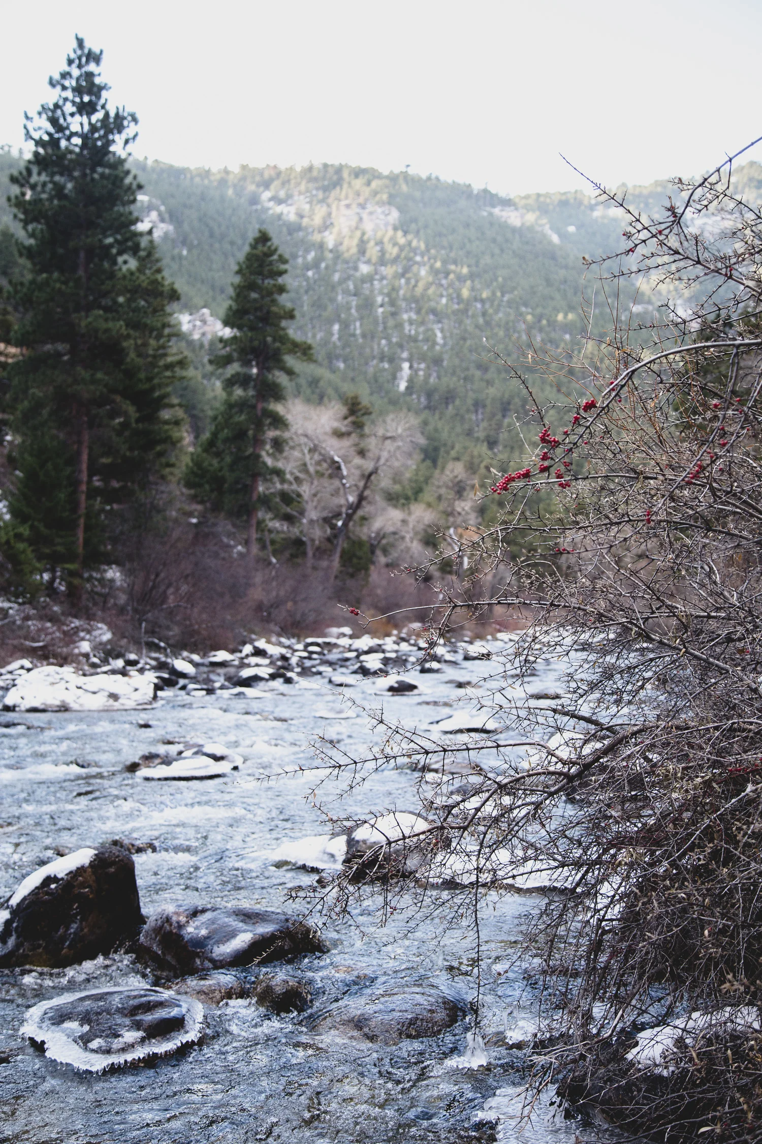 20171110-untitled-201711106149.jpg