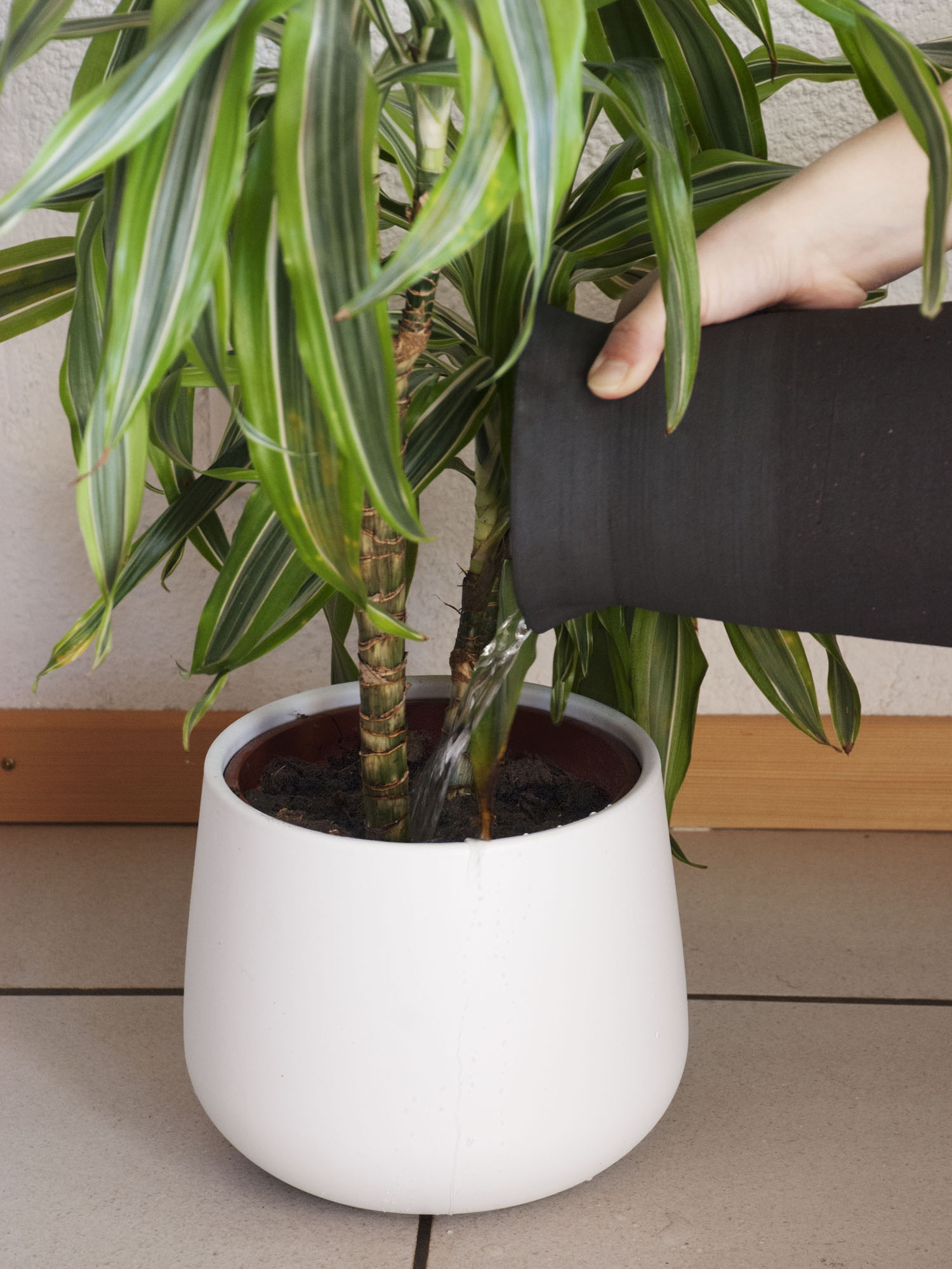 Ting_Laure Gremion_13.jpg