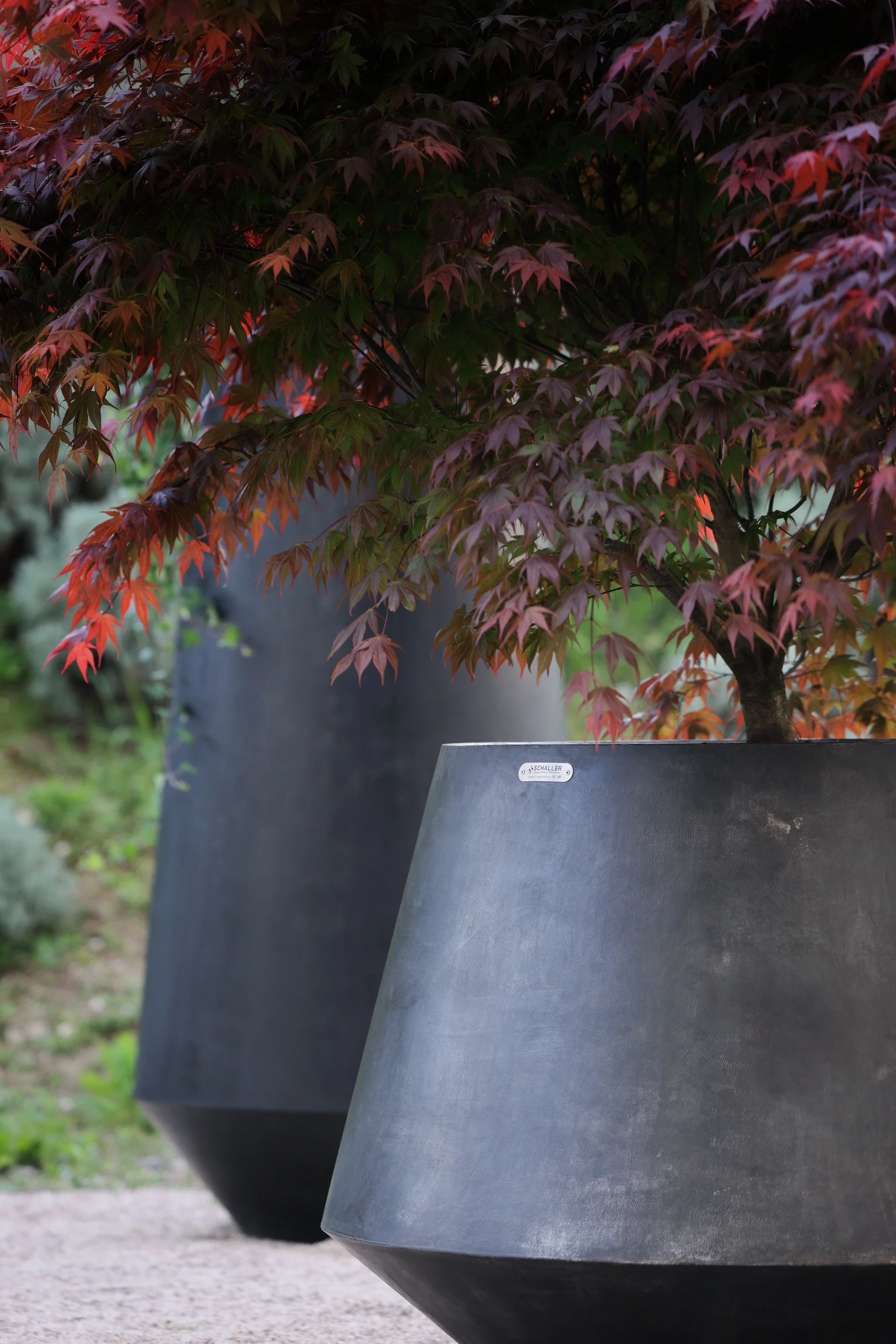 Schaller_LaureGremion_credits Davide Oppizzi_1.jpeg