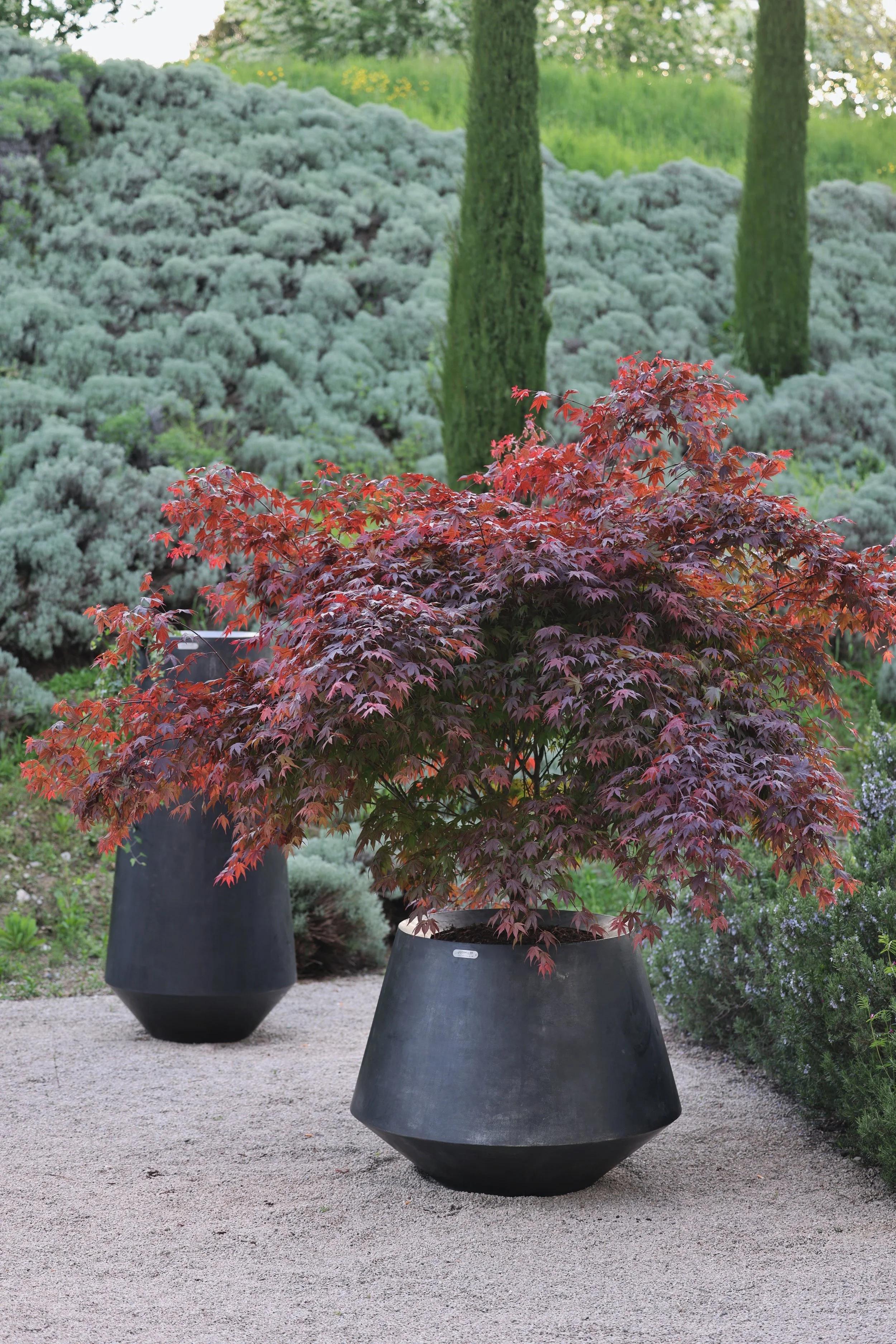 Schaller_LaureGremion_credits Davide Oppizzi_5.jpeg