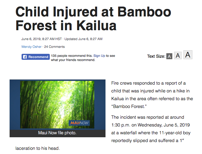 bambooforestmaui.png