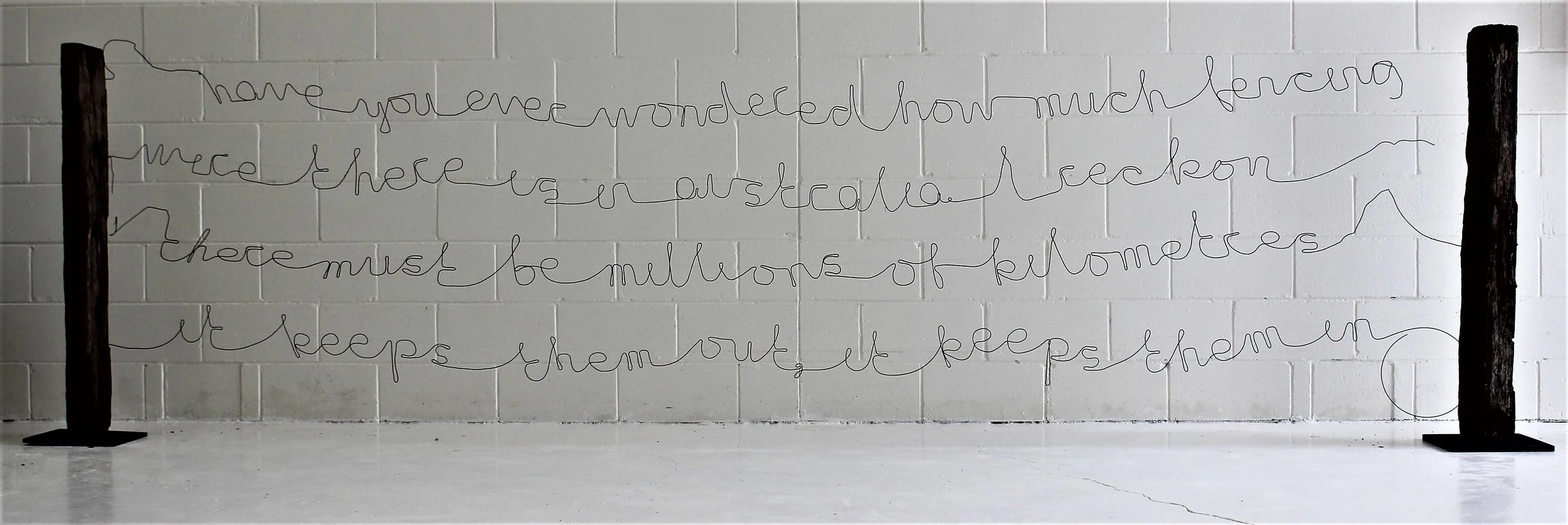 Have you ever wondered ..., (2018) Found wire and timber, steel, fishing line. 124x450x35cm