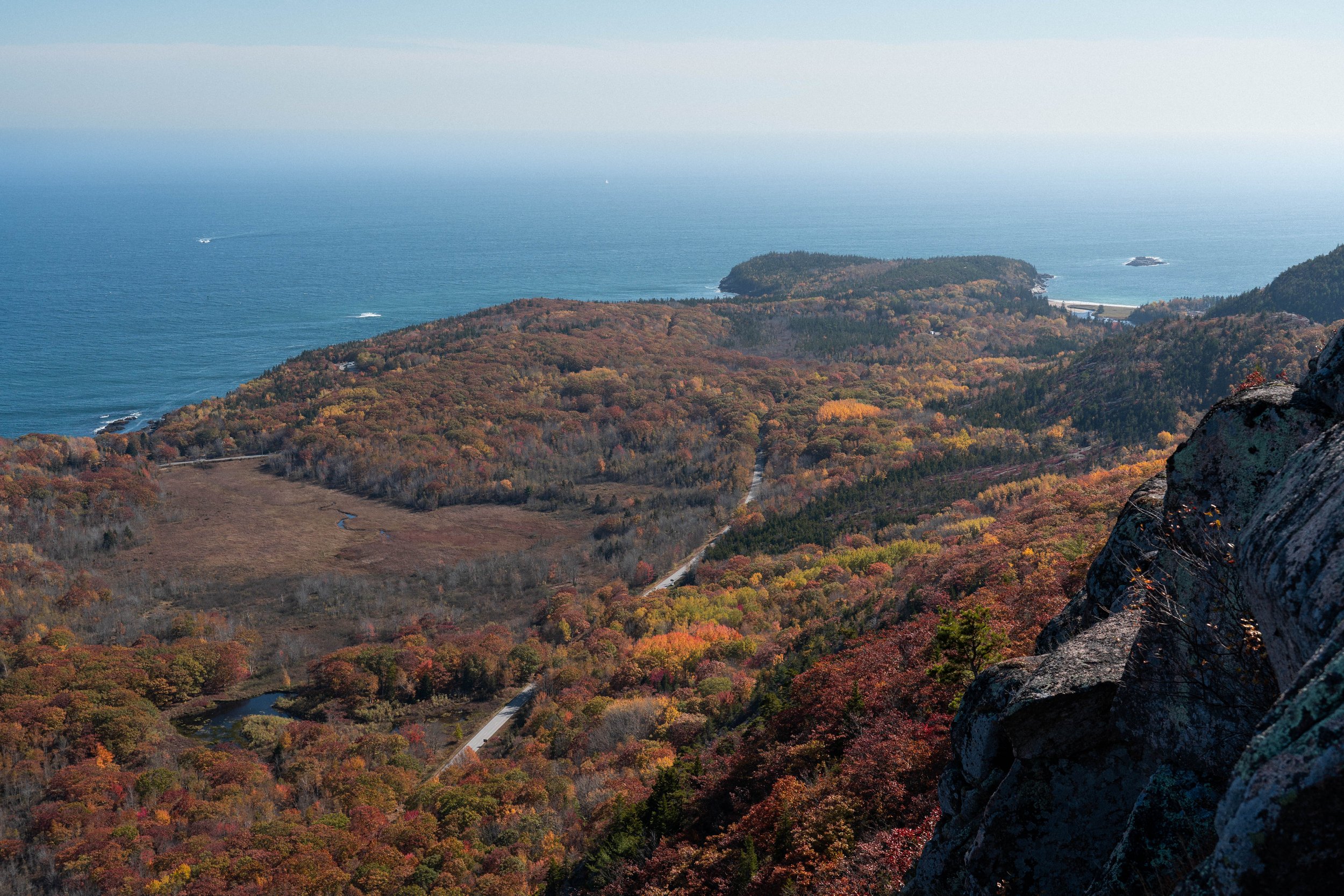 _DSC4542.jpg