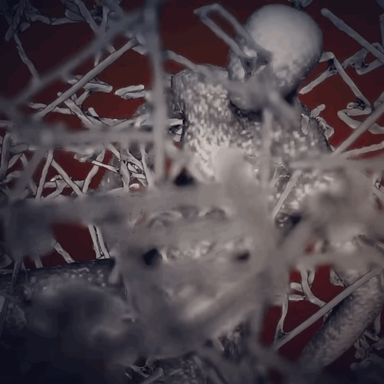 New Project 578aa.gif