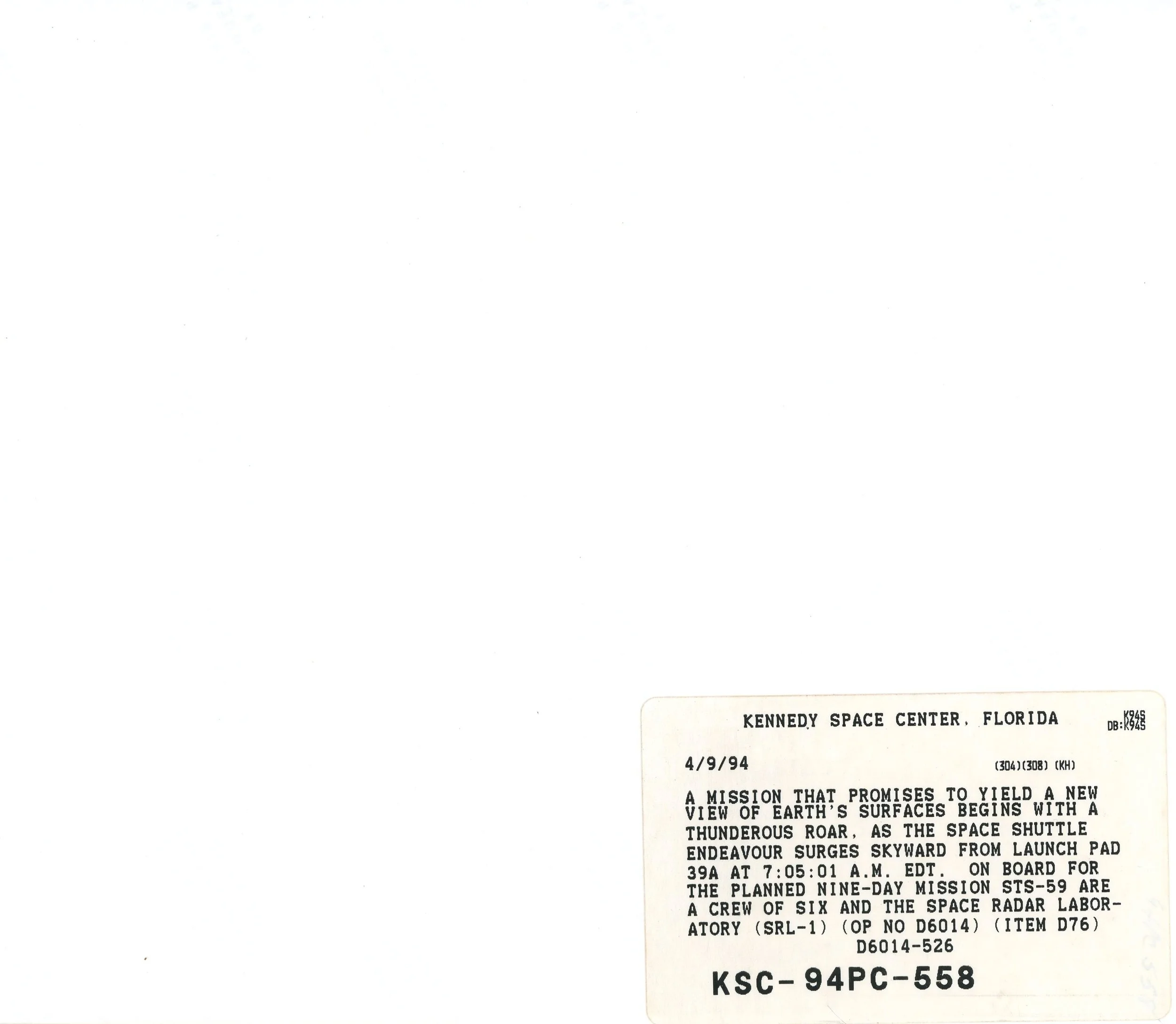 11 - REVERSE.jpg