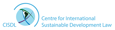 UN Convention on the Rights of the Child — Voices of Future Generations