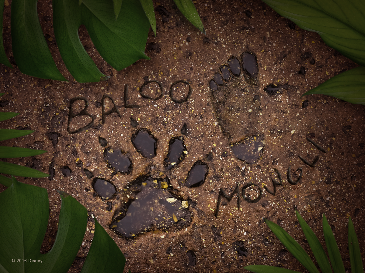 Apr4_Footprints_v3.png