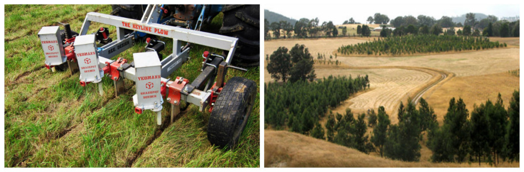 Keyline plow used during Keyline workshop in Alentejo