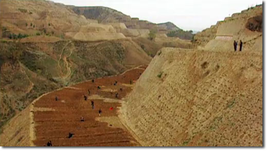 Loss Plateau in September 1995