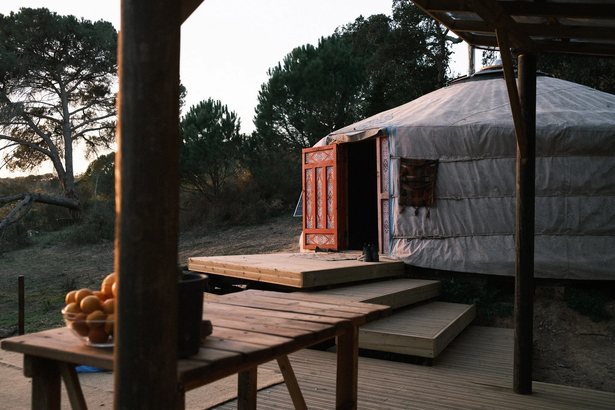 Traditional Mongolian yurt nestled in an orange orchard at A Quinta off-grid farm, featuring a private wooden deck for long-term stays and digital nomads in South Portugal.