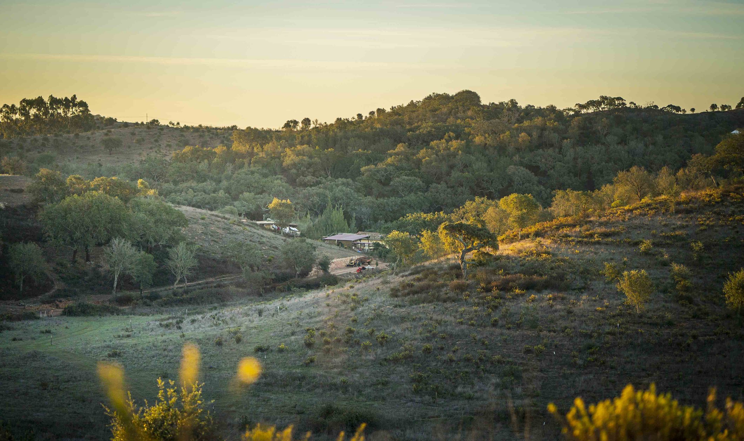 sunrising above the a quinta regenerative farm in alentejo, portugal