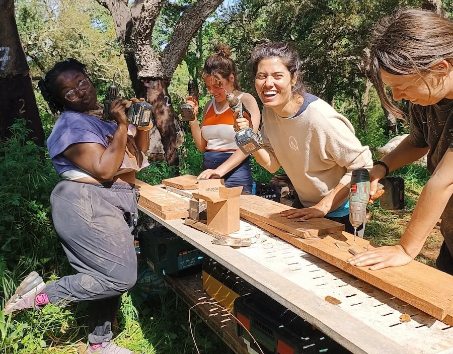 Natural Building Course with Lola Byron, 6-12 October 2026