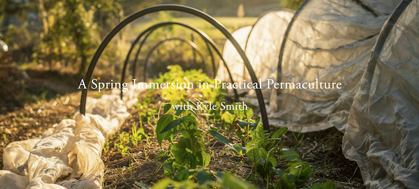 Roots &amp; Resilience: A Spring Immersion in Practical Permaculture, 29 April -3 May 2026