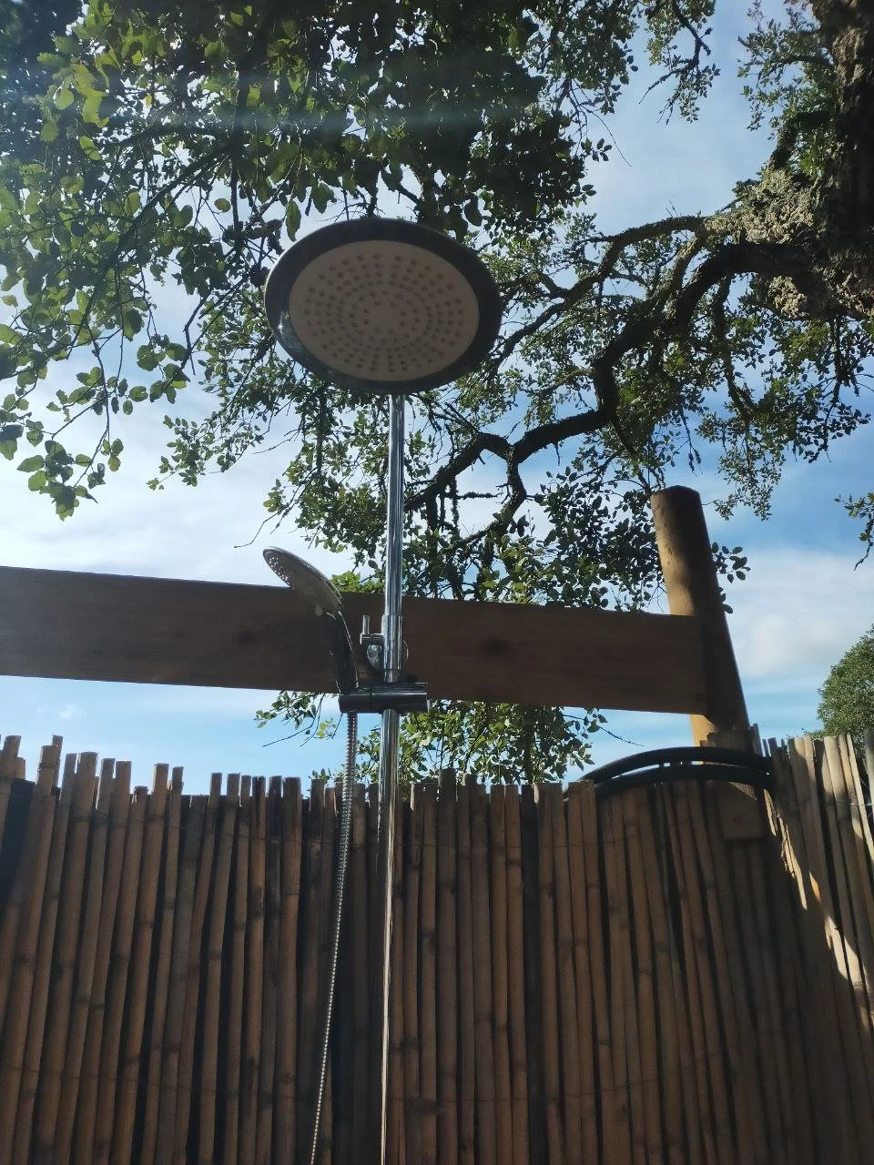 Looking down from the outdoor shower at a shower head with a beautiful green tree canopy and blue sky above.