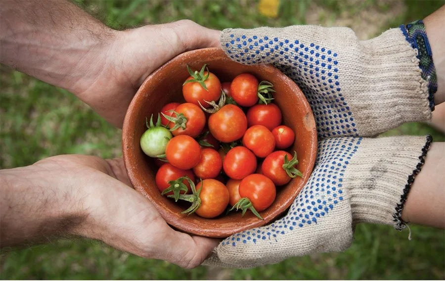 From Garden to Table — Learning and Living with the Land