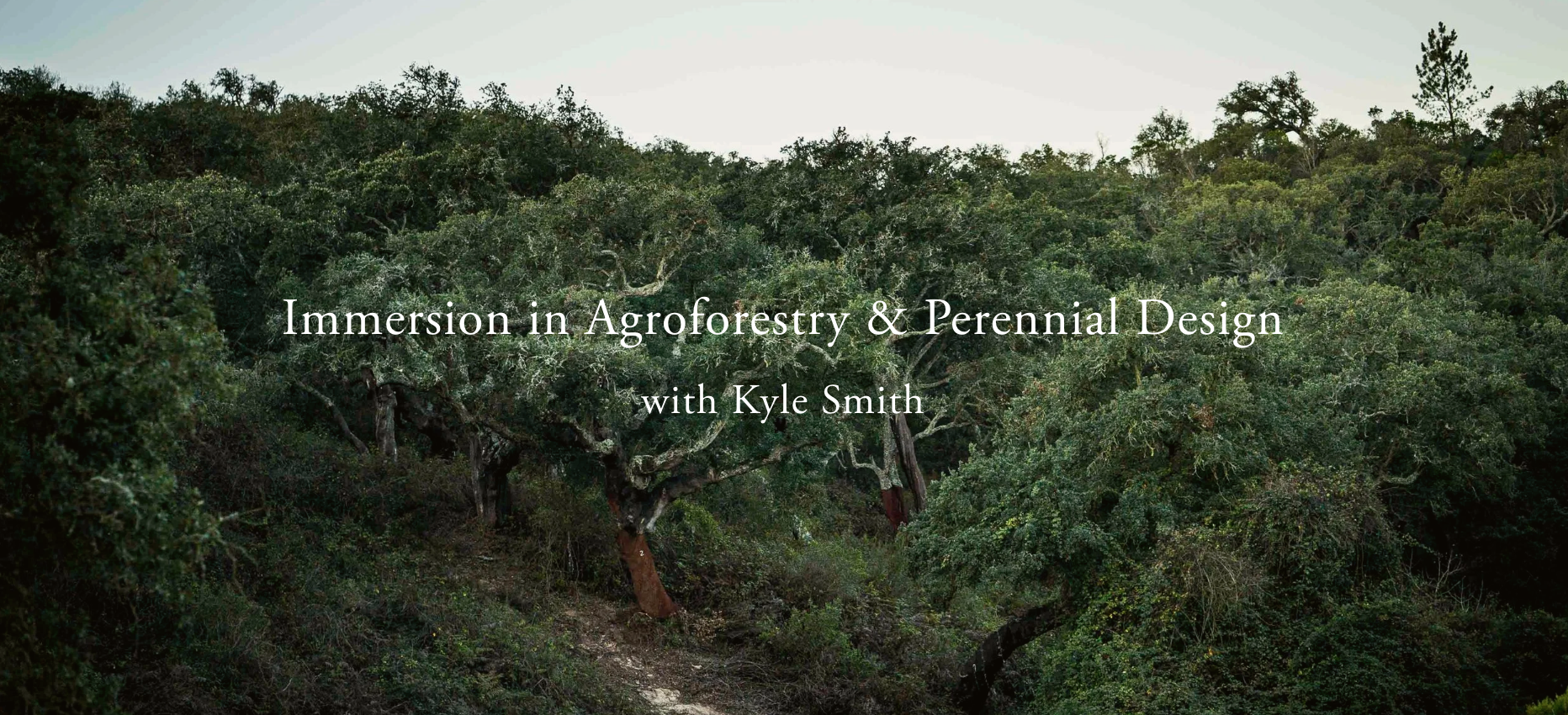 The Living Forest: A 5-Day Immersion in Agroforestry &amp; Perennial Design, 27 - 31 May 2026