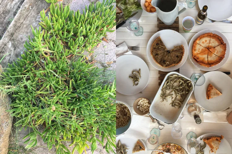 Sommerliches Mittagessen gedeckter Tisch Sukkulenten im Garten