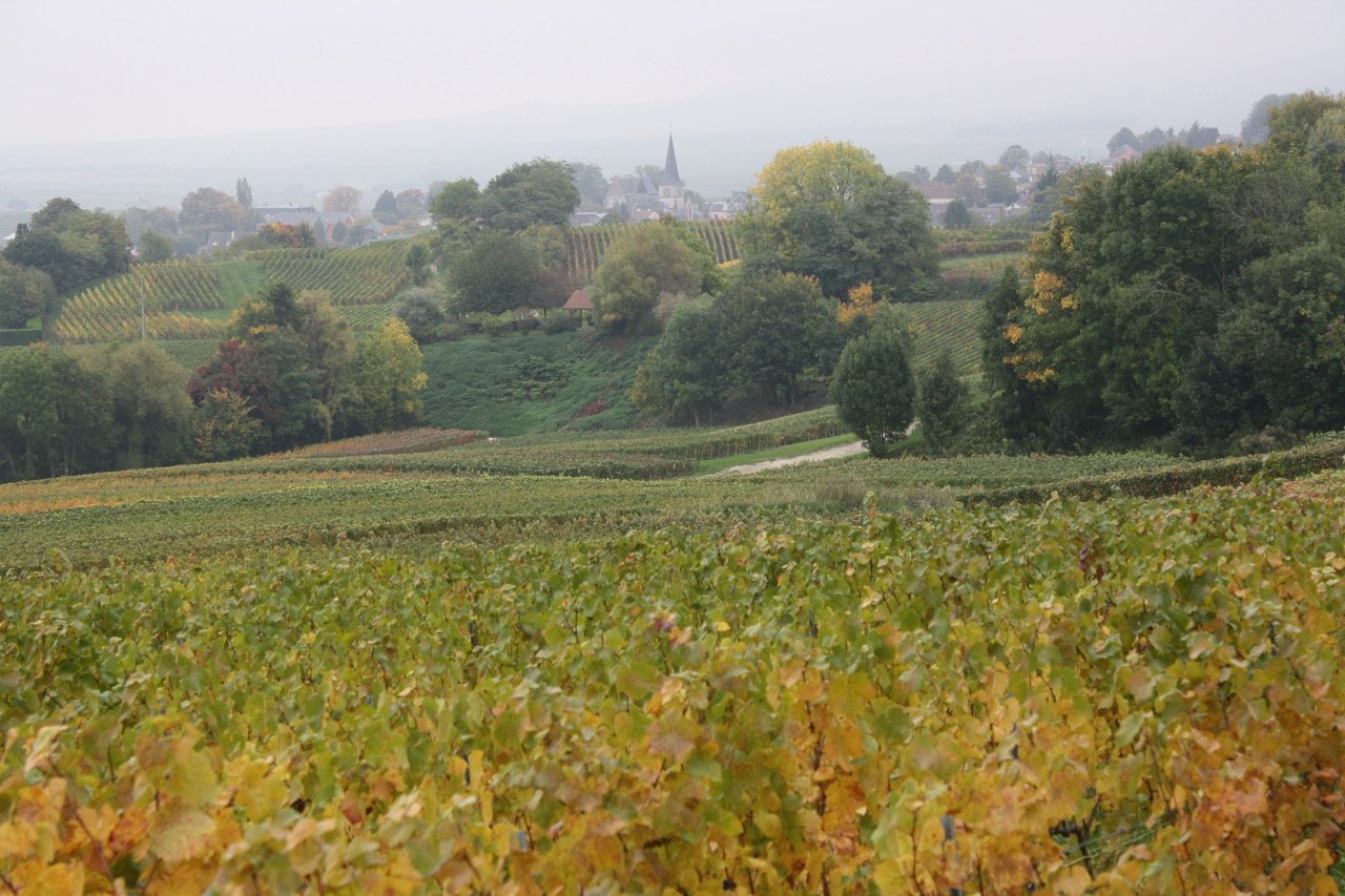 Das Terroir der Champagne