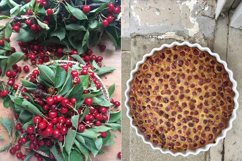 Links frisch gepflückte Kirschen rechts ein französischer Kirschkuchen