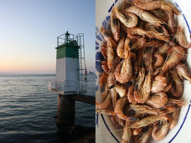 Leuchtturm am Meer bei Sonnenuntergang und frisch gekochte Garnelen, sommerliche Genussmomente an der französischen Küste