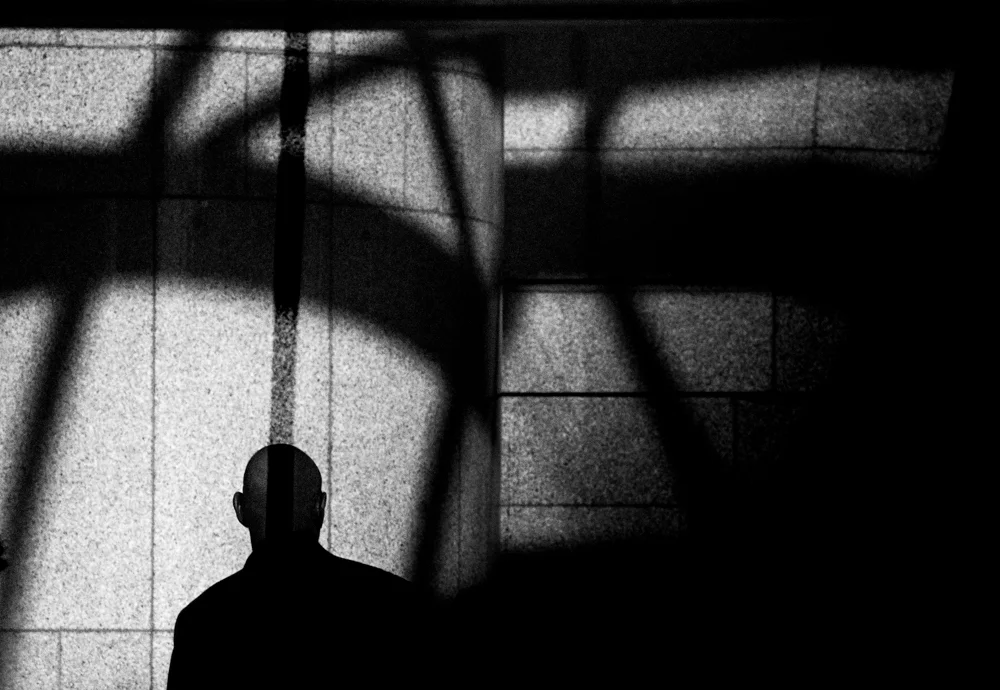 Symphony of Lines & Light_Sandra Cattaneo Adorno-2.jpg