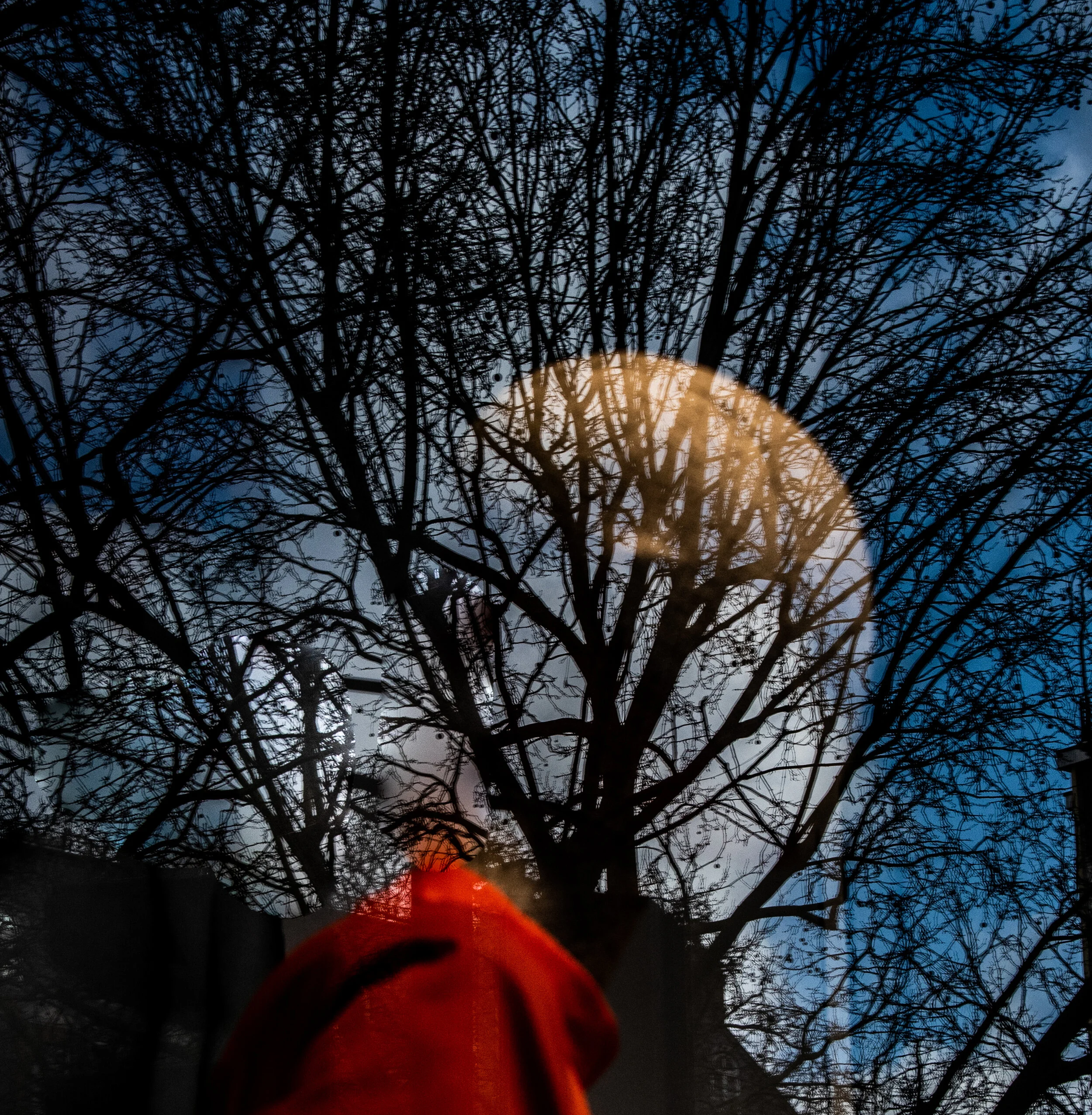 Website_Series_Reveries-6.jpg
