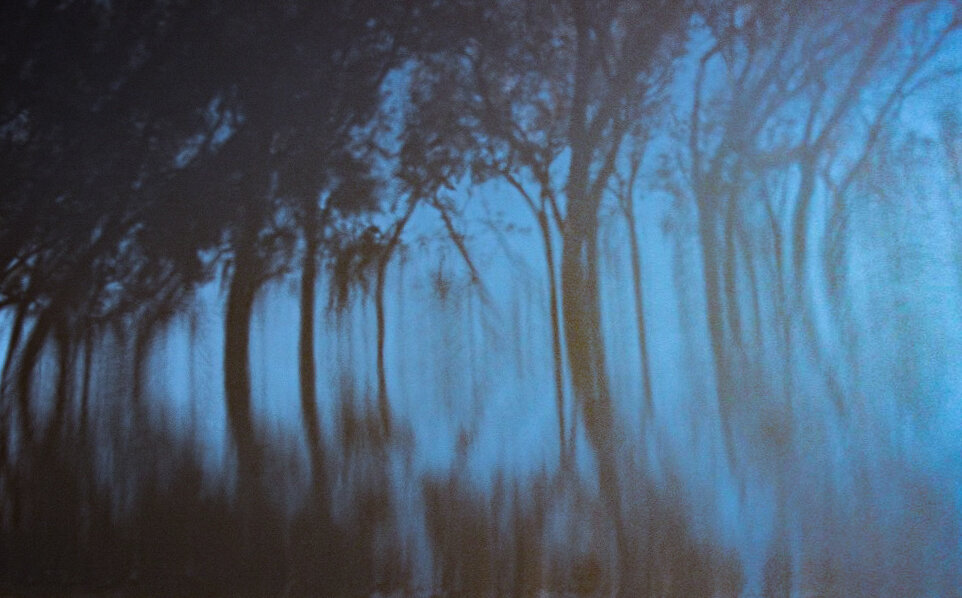 Sandra Cattaneo Adorno-4.jpg
