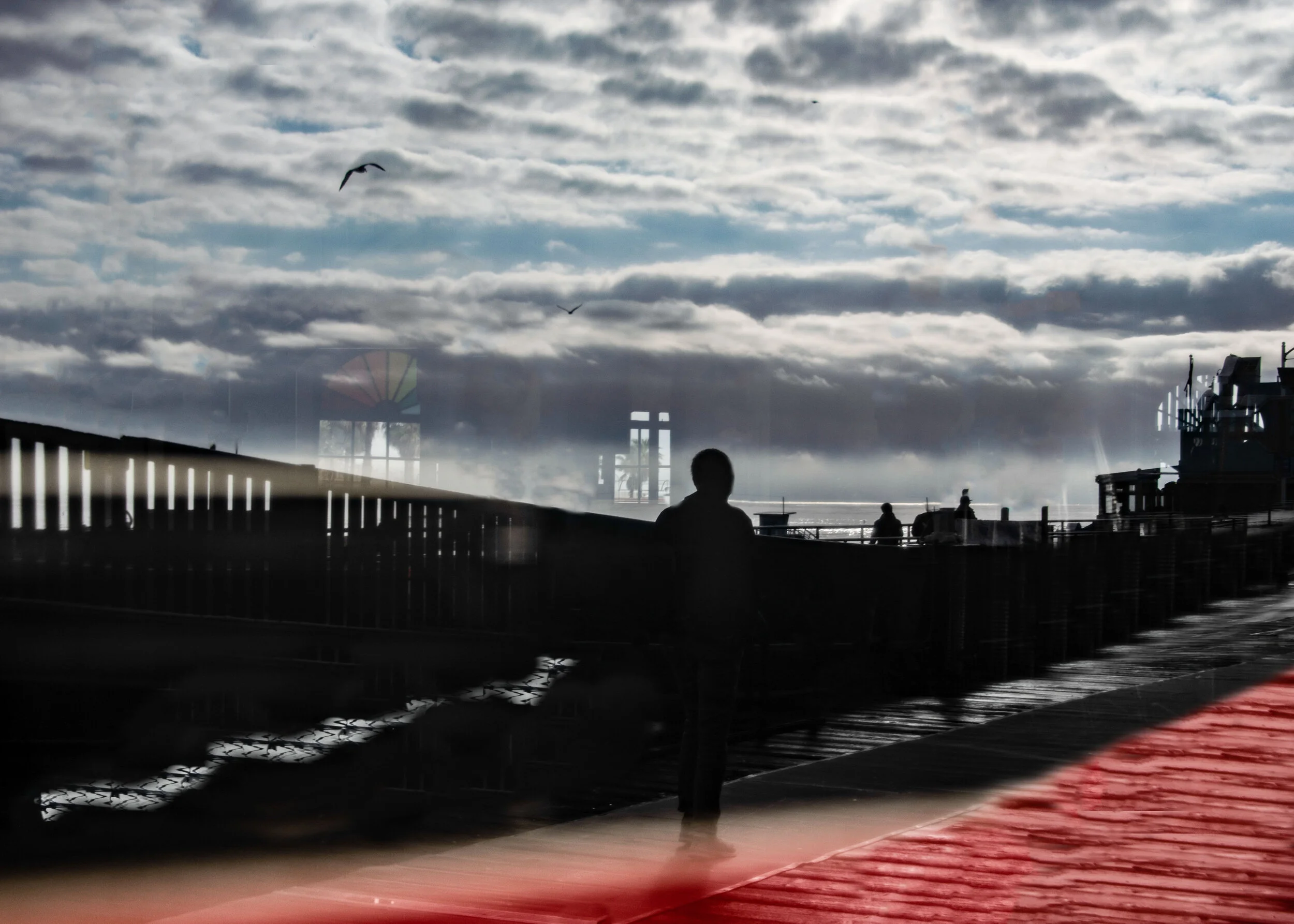 Sandra Cattaneo Adorno-8.jpg