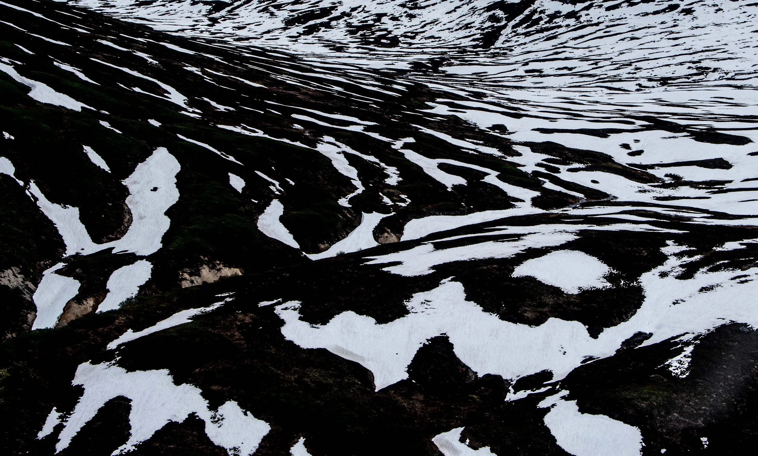 Alaska June 2021 Patterns_Edited-9.jpg