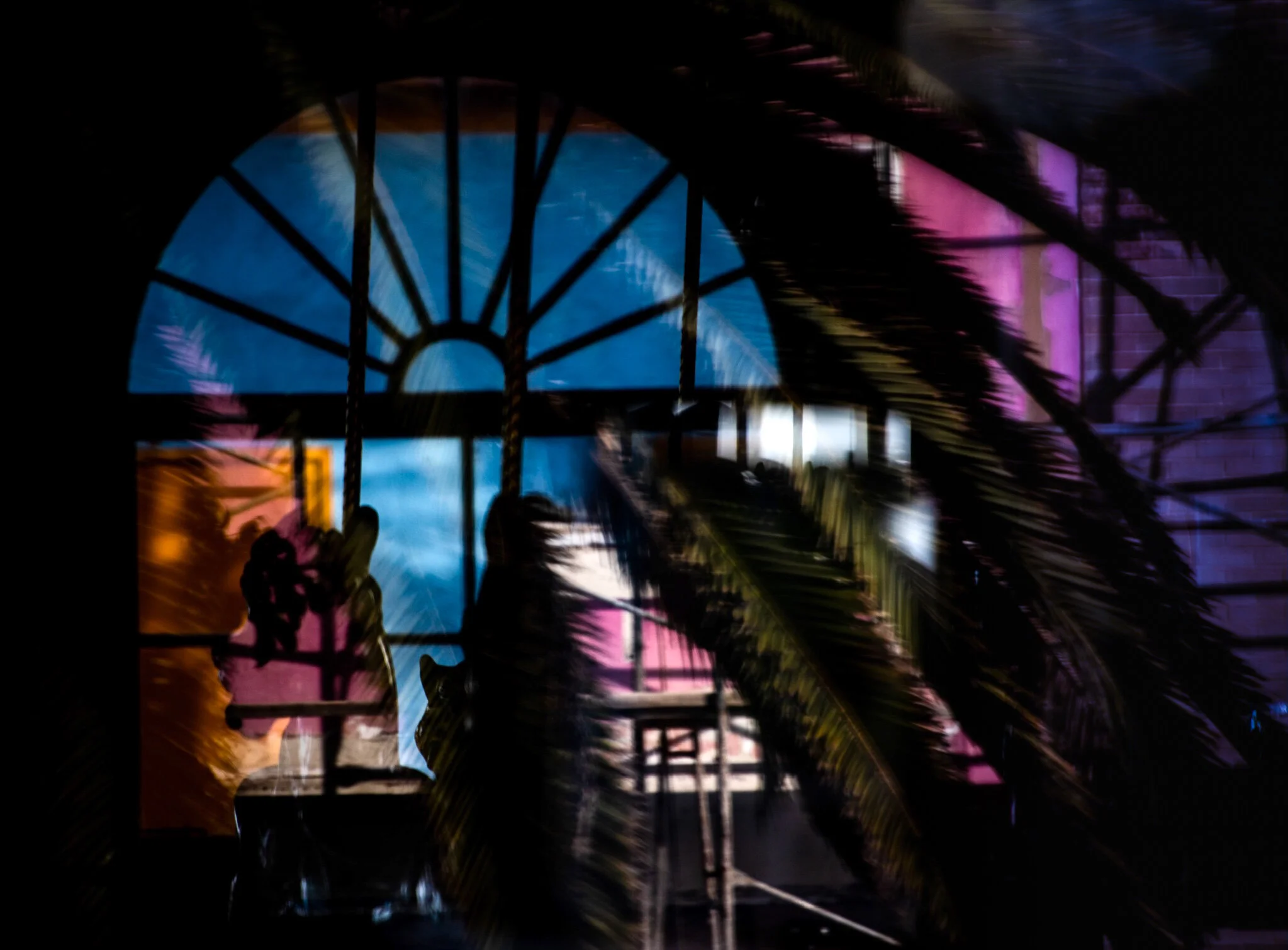 Tropical Vibes-4.jpg