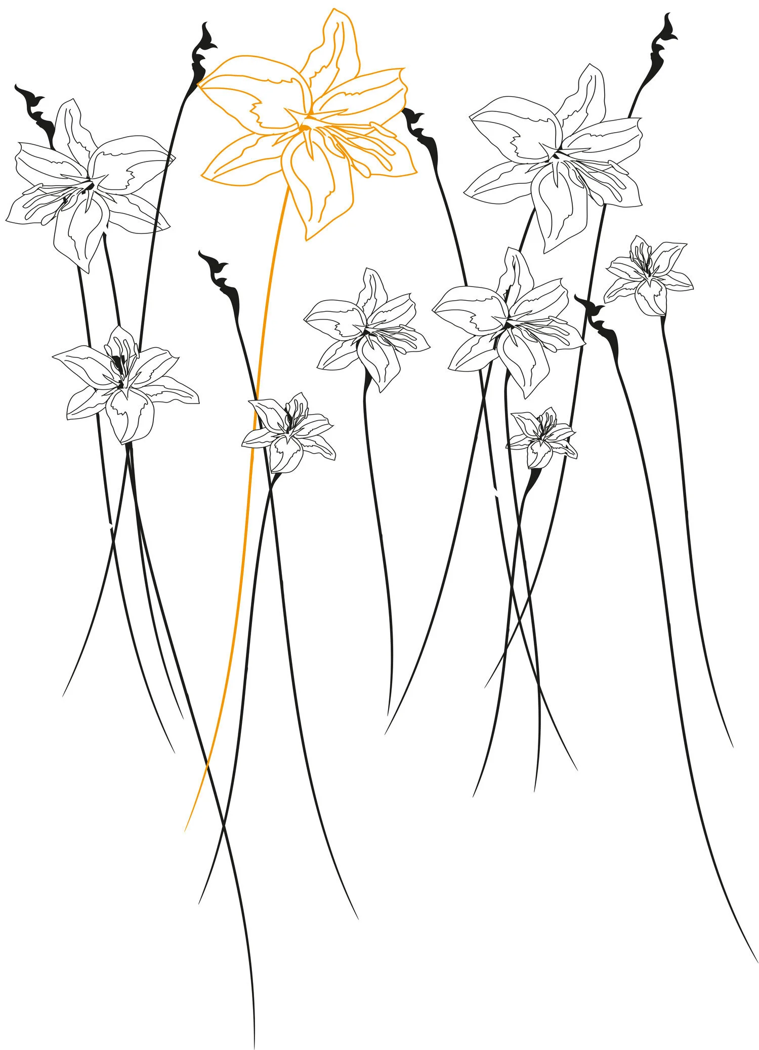 Reiss_Finals-4.jpg