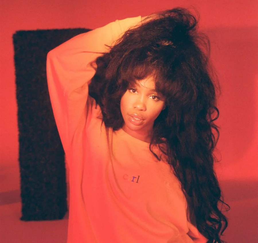 <a href="https://www.villagevoice.com/2017/06/20/sza-sizzles-on-her-triumphant-debut-ctrl/" target="_Blank">VILLAGE VOICE</a>