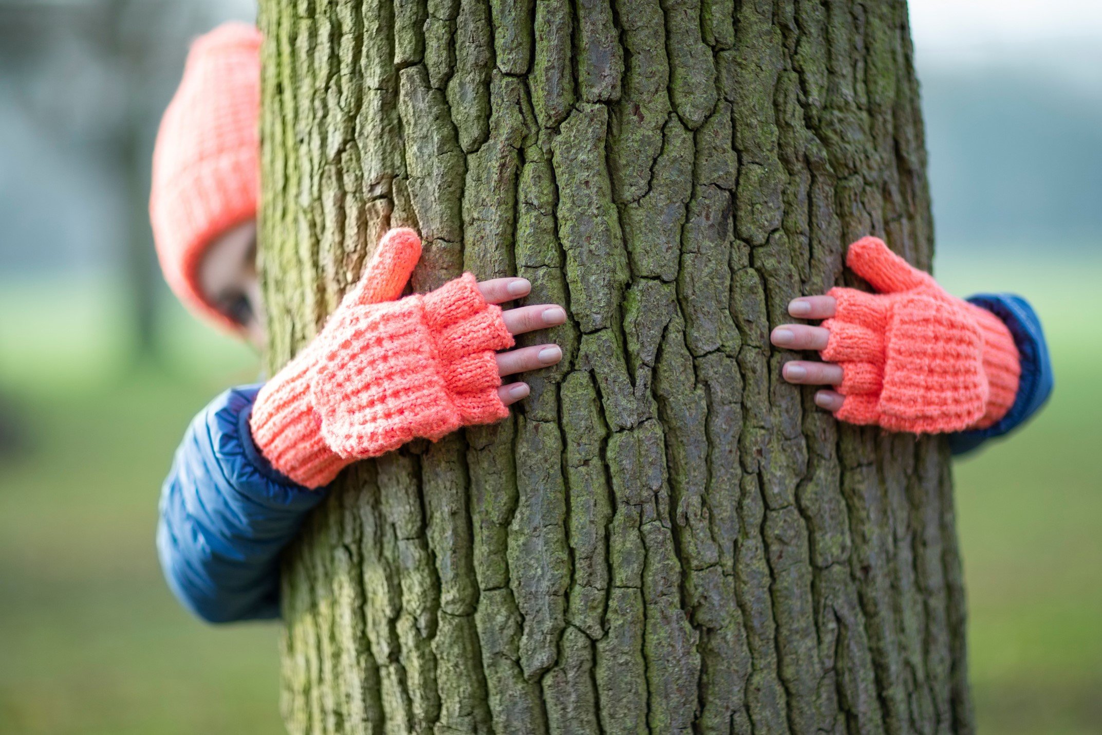 Tree-Hugging-MS-Stock.jpg