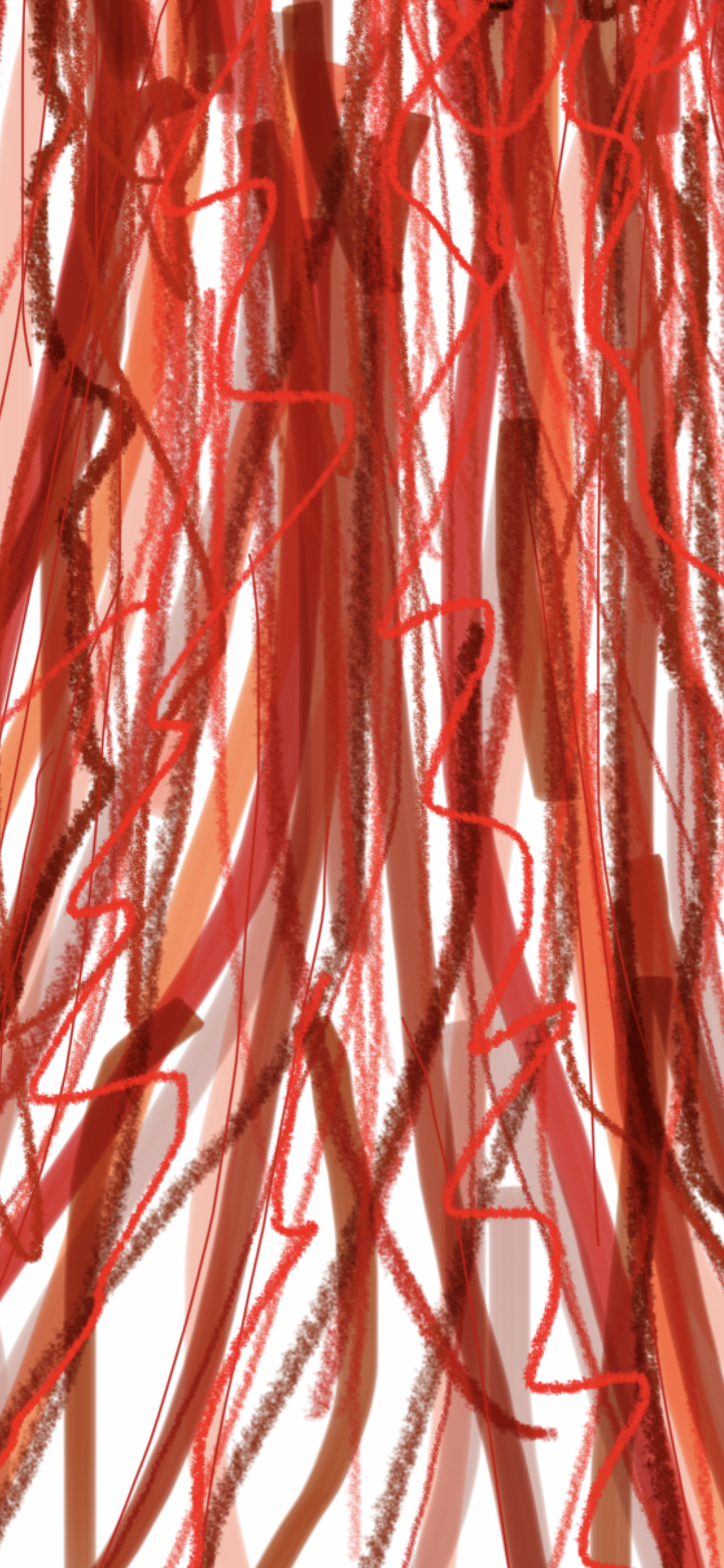 When We Are They Are US