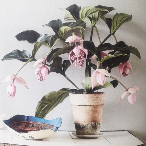 Photocredit: Annebelle Gueret