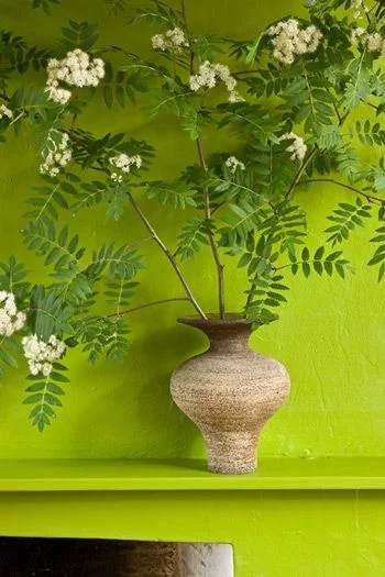 Vibrant acid spring green. Photo credits: Gilles Trillard