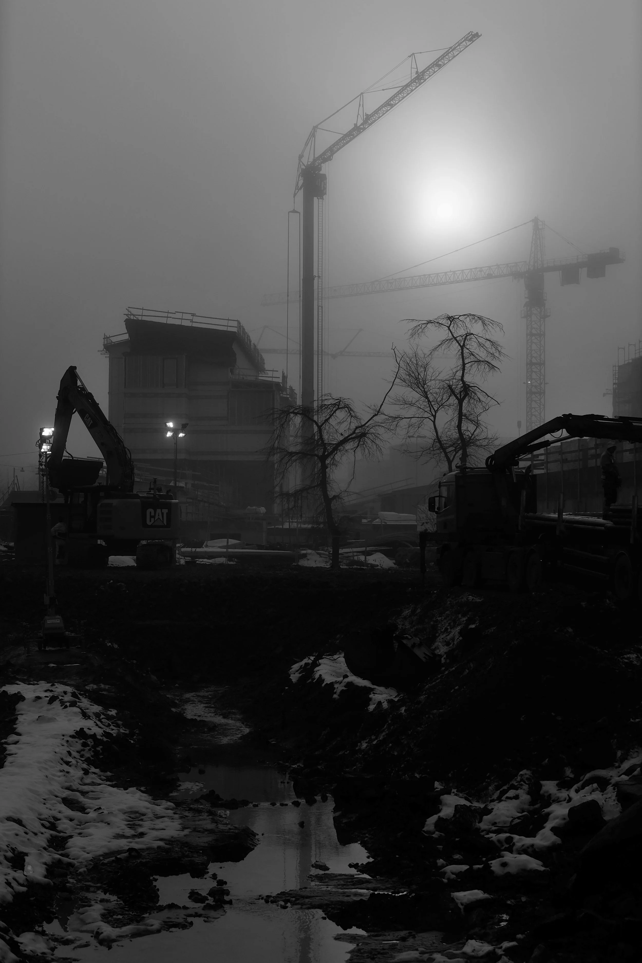 _DSF2462.jpg