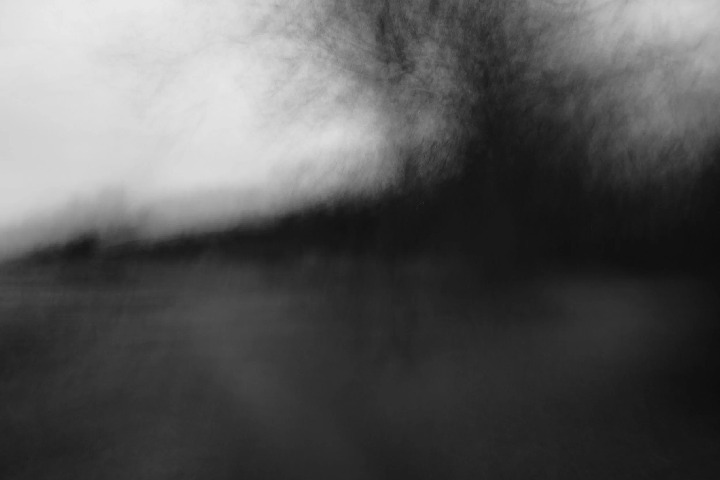 _DSF5366.JPG