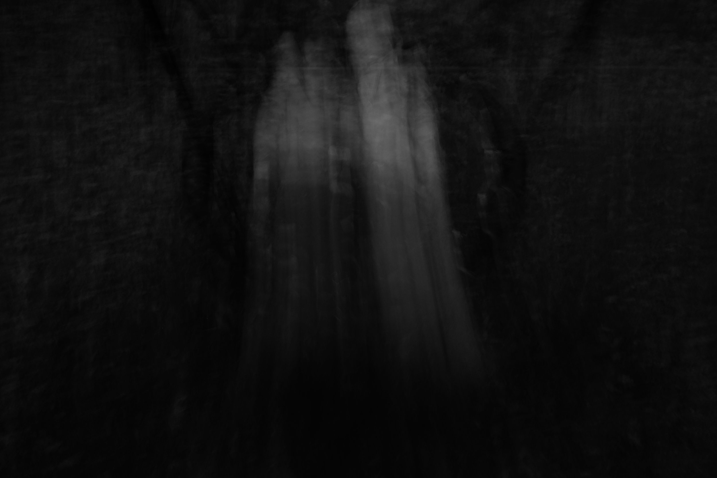 _DSF5439.JPG
