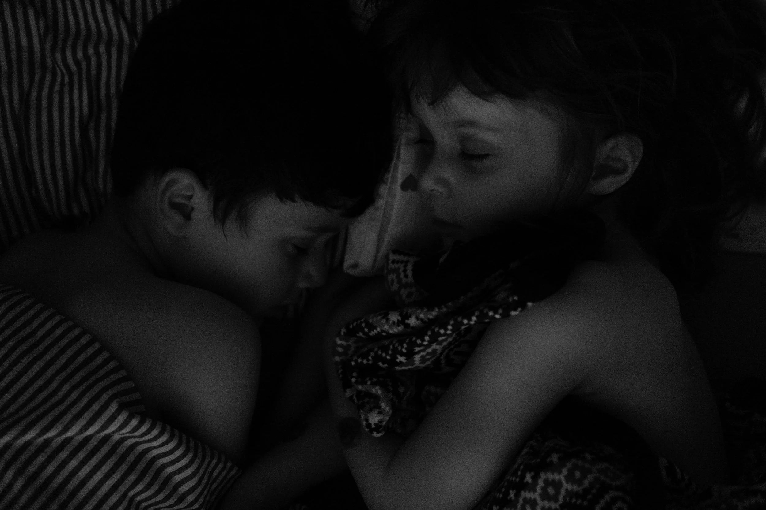 DSCF2546.jpg